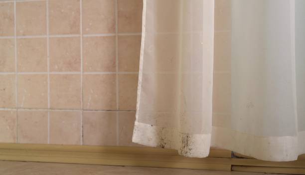 Best Mold-Related Health Consultation  in Lawton, MI