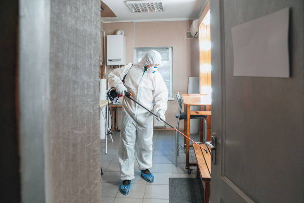 Trusted Lawton, MI Mold Removal Experts