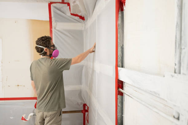 Best Post-Remediation Verification Testing  in Lawton, MI